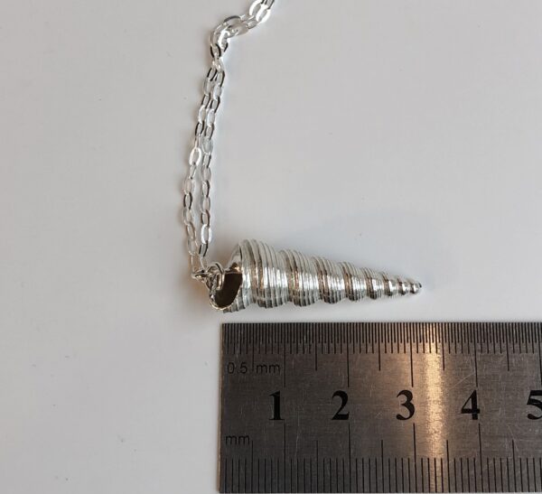 Silver Auger Shell Pendant - Image 9