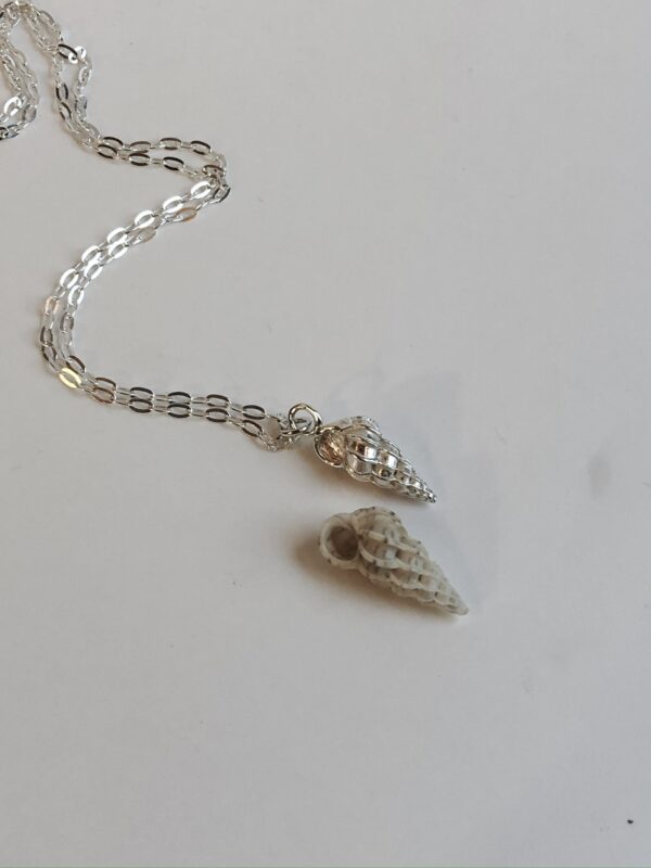 Silver Wentletrap Shell Pendant - Image 2